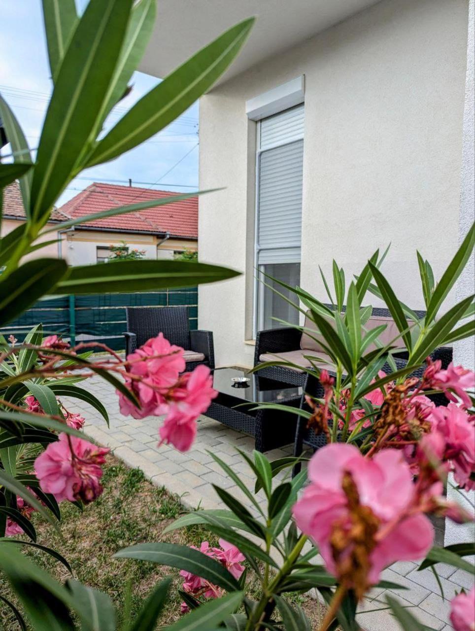 Gast Haus Daire Sibiu Dış mekan fotoğraf